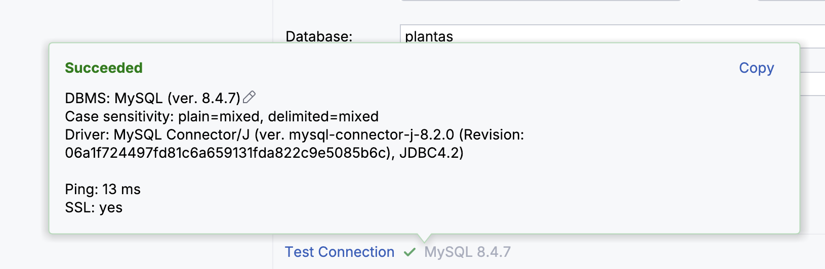 Database IntelliJ
